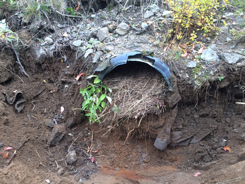 Nettoyage de ponceau